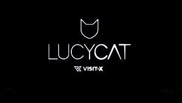 Lucy Cat Channel